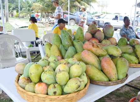 Hopkins Mango Festival (Date to Be Announced)