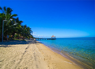 Hopkins: A Cultural Beach Experience