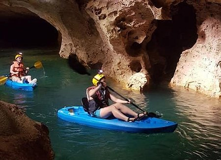 Snorkel With Sharks (Safely!)