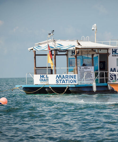 Marine Reserves and Sustainable Fishing