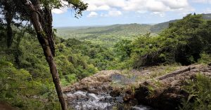 Mayflower Bocawina National Park: A Must-Visit Destination in Belize