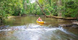 Belize Eco-Tourism & Conservation: Where Nature and Sustainability Meet