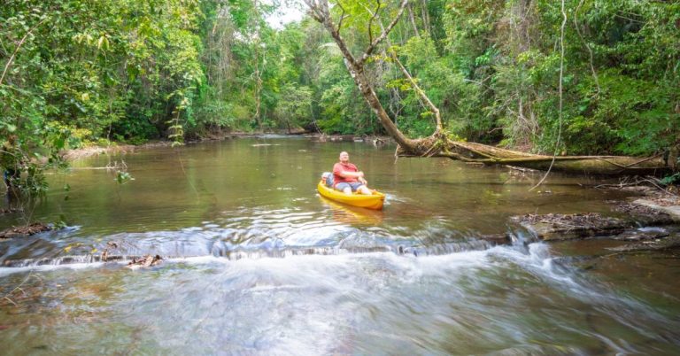 Belize Eco-Tourism & Conservation: Where Nature and Sustainability Meet