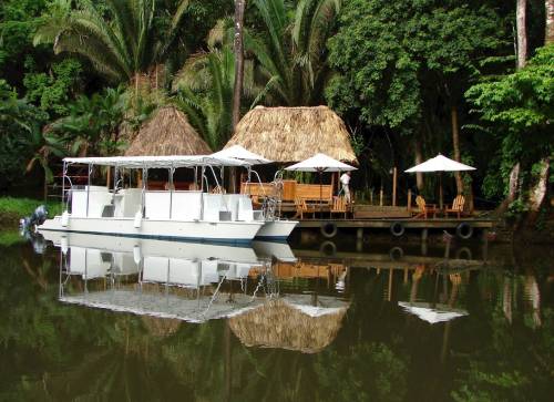 Copal Tree Lodge
