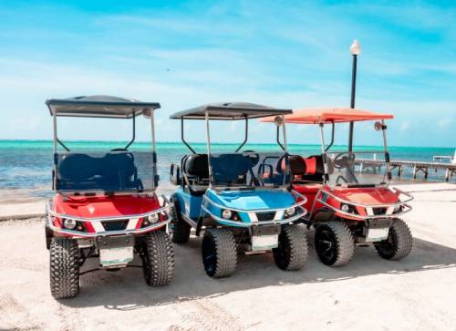Golf Carts