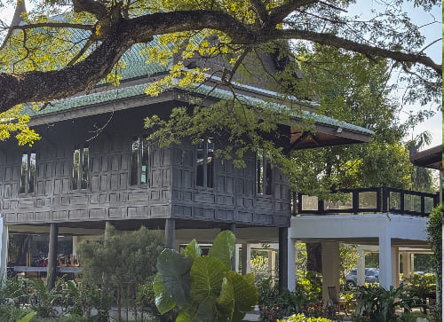 Tree Tops Jungle Lodge – Punta Gorda