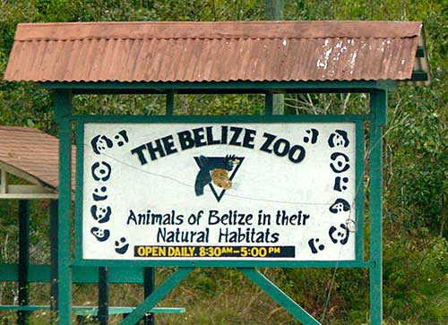 Belize Zoo