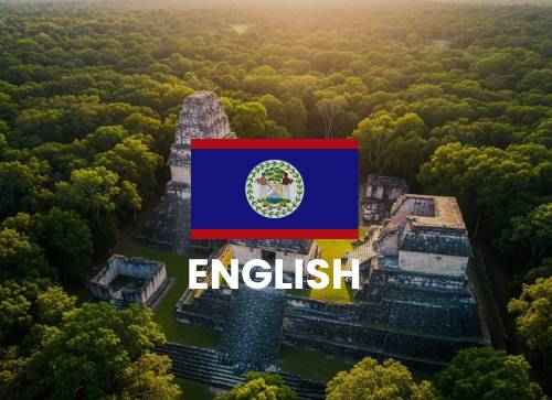 Official Language