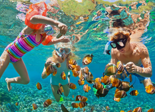 Snorkeling & Diving