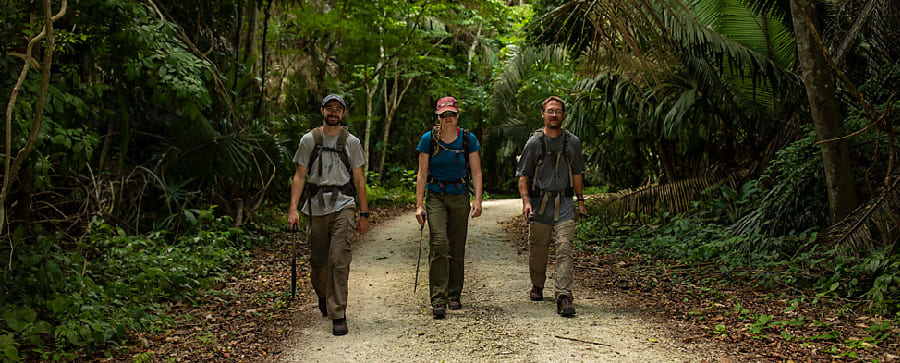 Jungle Arrival & Rainforest Adventure