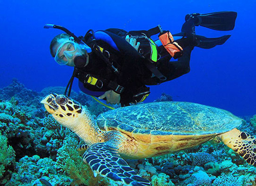 Top Things to Do in San Pedro