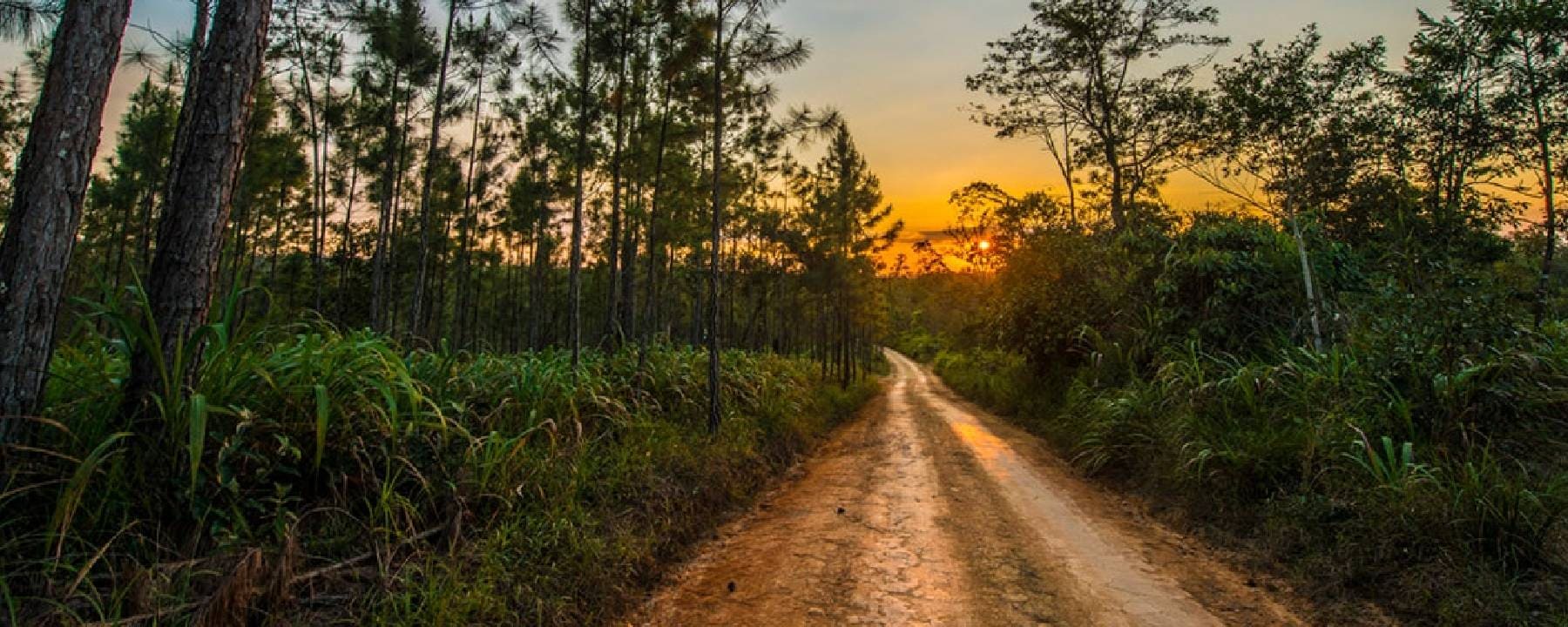 Mountain Pine Ridge Roads
