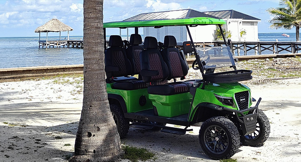 Hurry! Carts are selling out fast. Rent Now