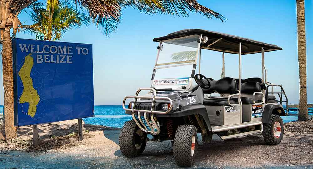 Hurry! Carts are selling out fast. Rent Now