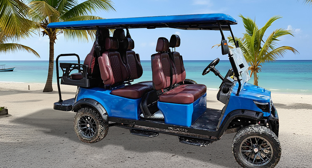 Hurry! Carts are selling out fast. Rent Now