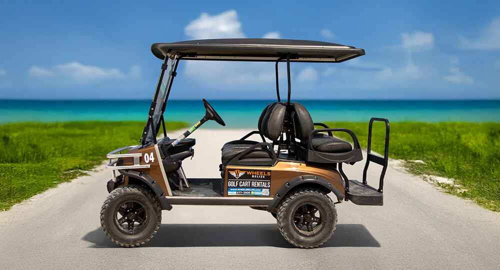 Hurry! Carts are selling out fast. Rent Now