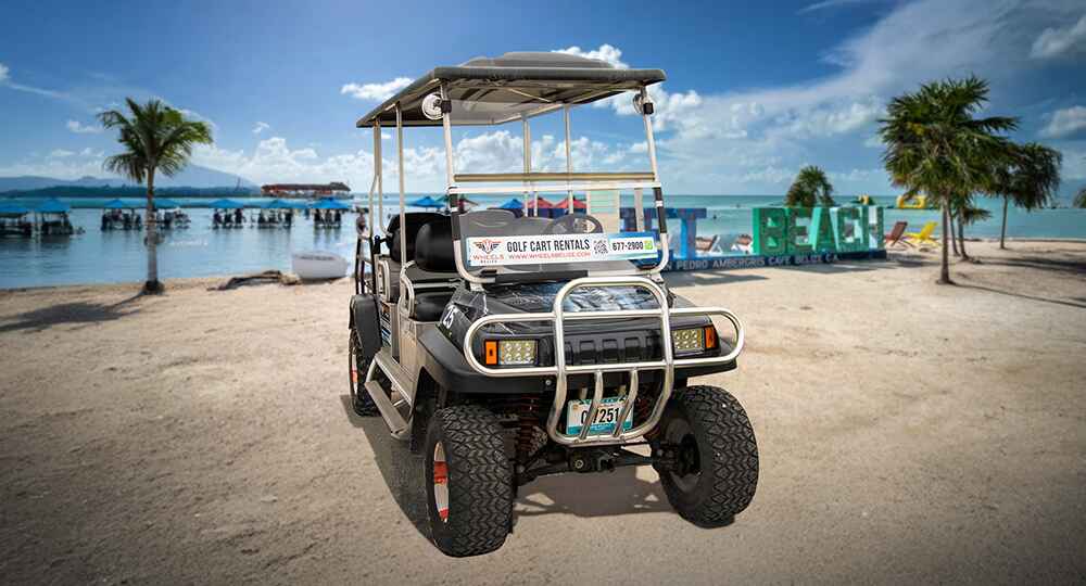 Hurry! Carts are selling out fast. Rent Now