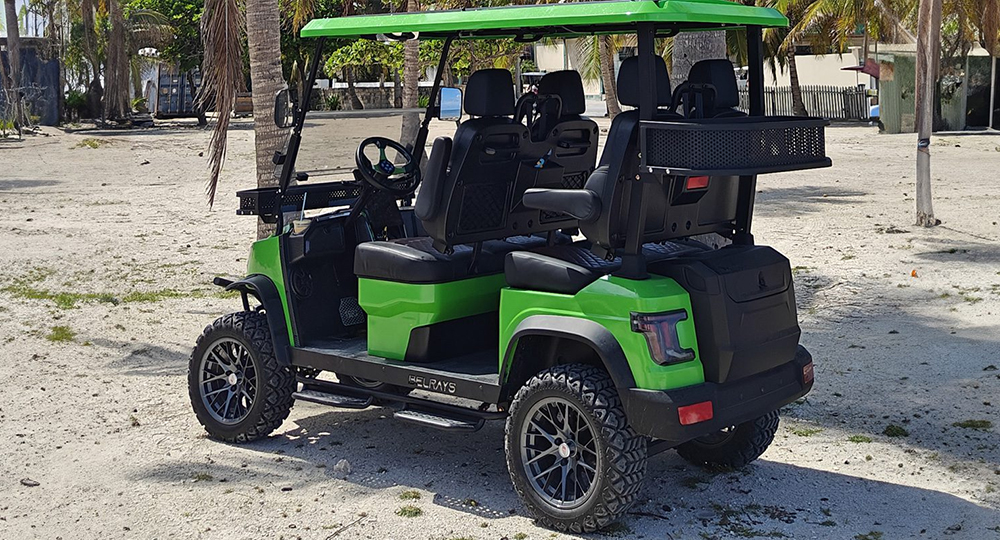 Hurry! Carts are selling out fast. Rent Now
