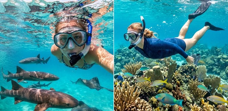Best Snorkeling Spots in Belize During October