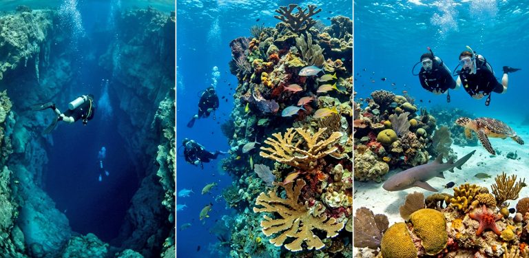 Top Diving Sites to Explore in Belize This Fall
